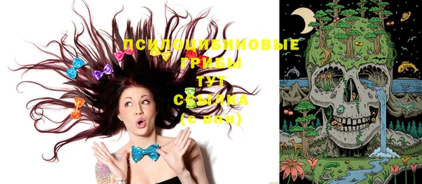 соль ск Медногорск