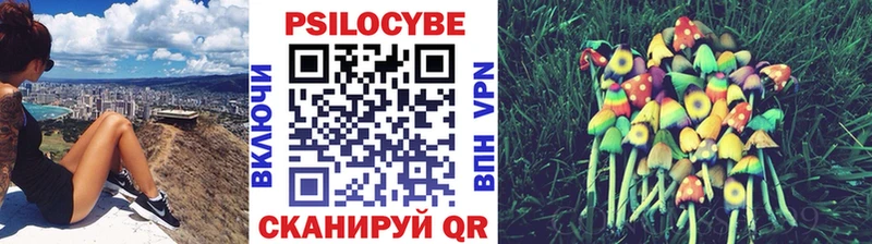 Купить  Чишмы  Галлюциногенные грибы MAGIC MUSHROOMS 